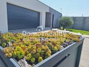 IMG-20250618-WA0027